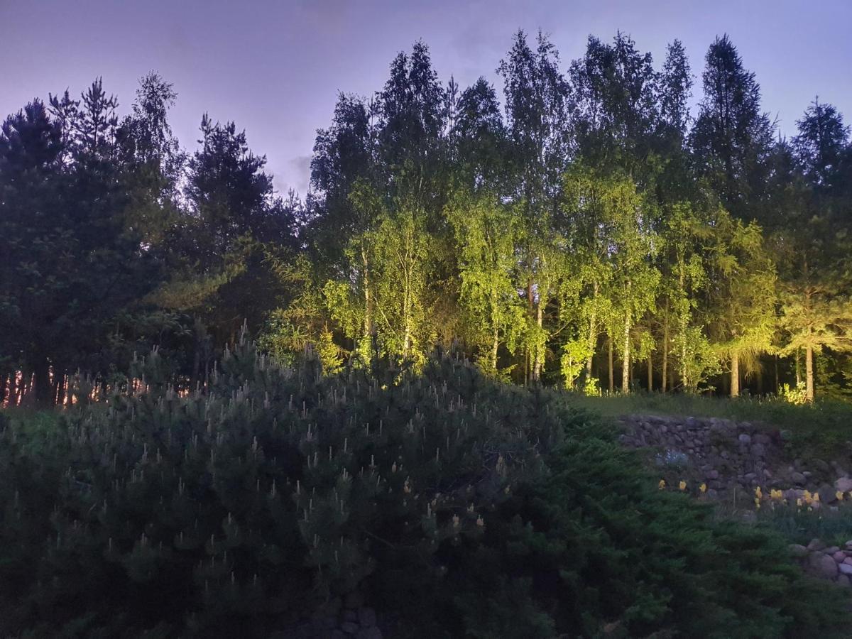 Nad Dabrowka Villa Mala Huta Kültér fotó